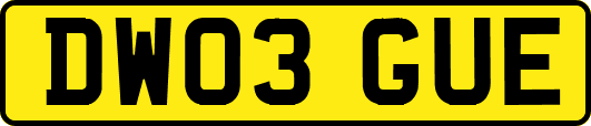 DW03GUE