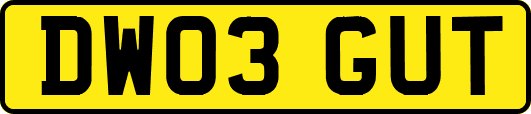 DW03GUT