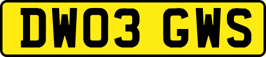 DW03GWS
