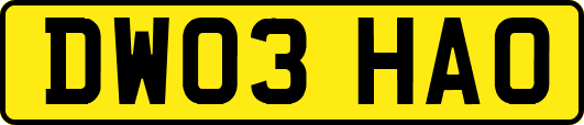 DW03HAO