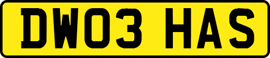 DW03HAS
