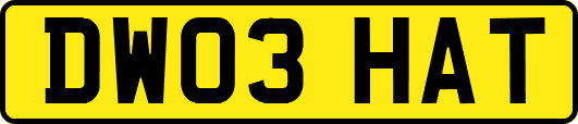 DW03HAT