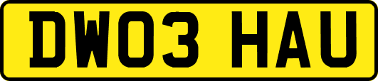 DW03HAU