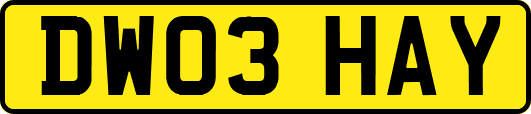 DW03HAY
