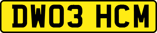 DW03HCM
