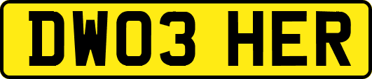 DW03HER