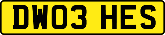 DW03HES