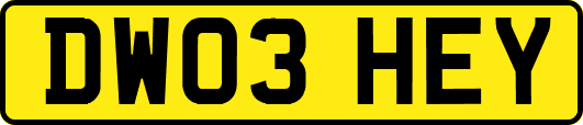 DW03HEY