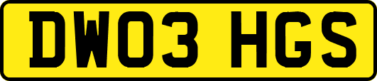 DW03HGS