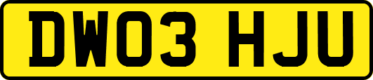 DW03HJU
