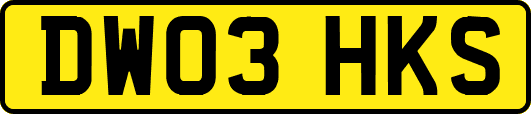 DW03HKS
