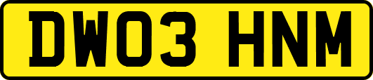 DW03HNM