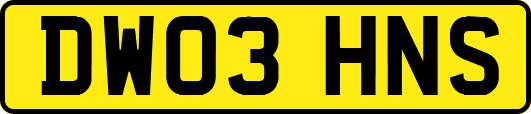 DW03HNS