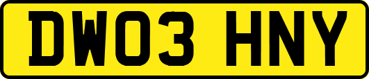 DW03HNY