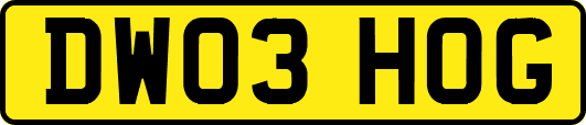 DW03HOG