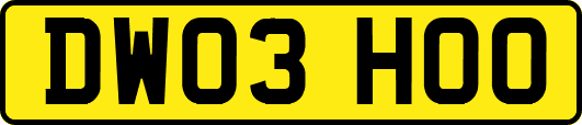 DW03HOO