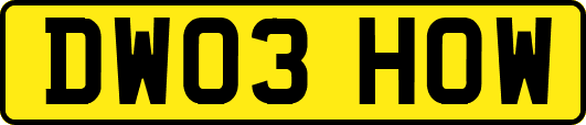 DW03HOW