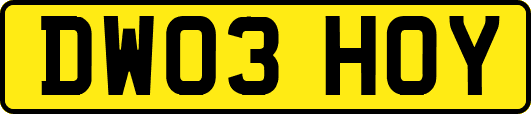 DW03HOY