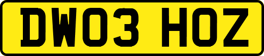 DW03HOZ