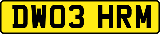 DW03HRM