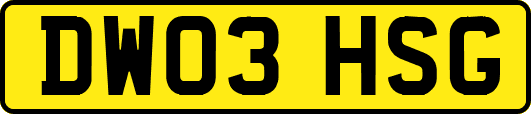 DW03HSG