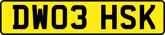 DW03HSK