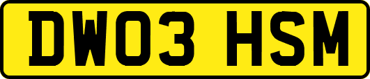 DW03HSM