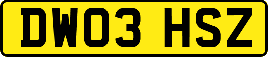 DW03HSZ