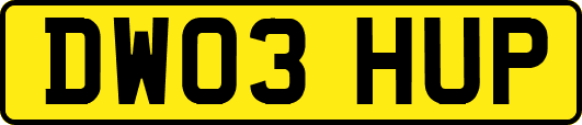 DW03HUP