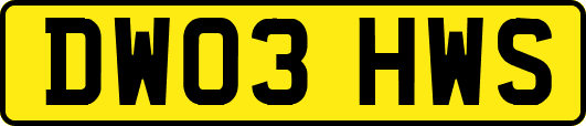 DW03HWS