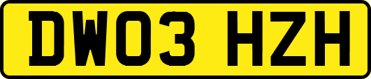 DW03HZH