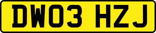 DW03HZJ