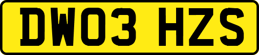 DW03HZS