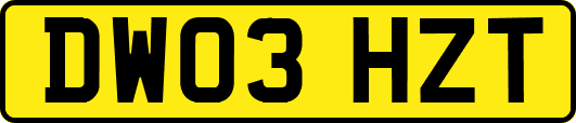 DW03HZT