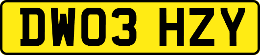 DW03HZY