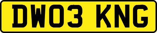 DW03KNG