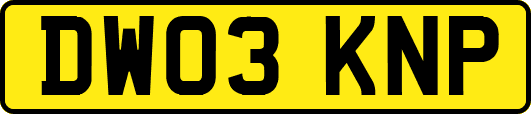 DW03KNP