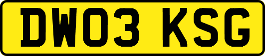 DW03KSG