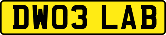 DW03LAB