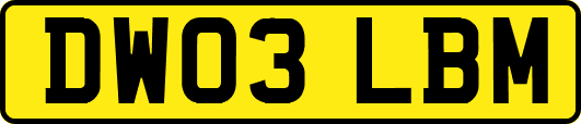 DW03LBM