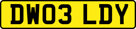 DW03LDY