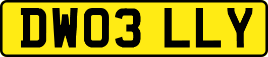 DW03LLY