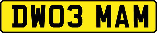 DW03MAM