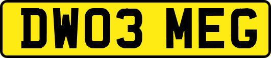 DW03MEG