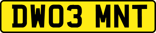 DW03MNT