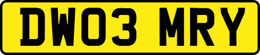 DW03MRY