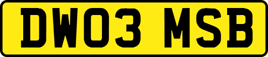DW03MSB