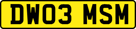 DW03MSM