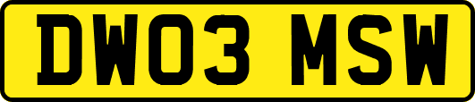 DW03MSW