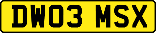 DW03MSX